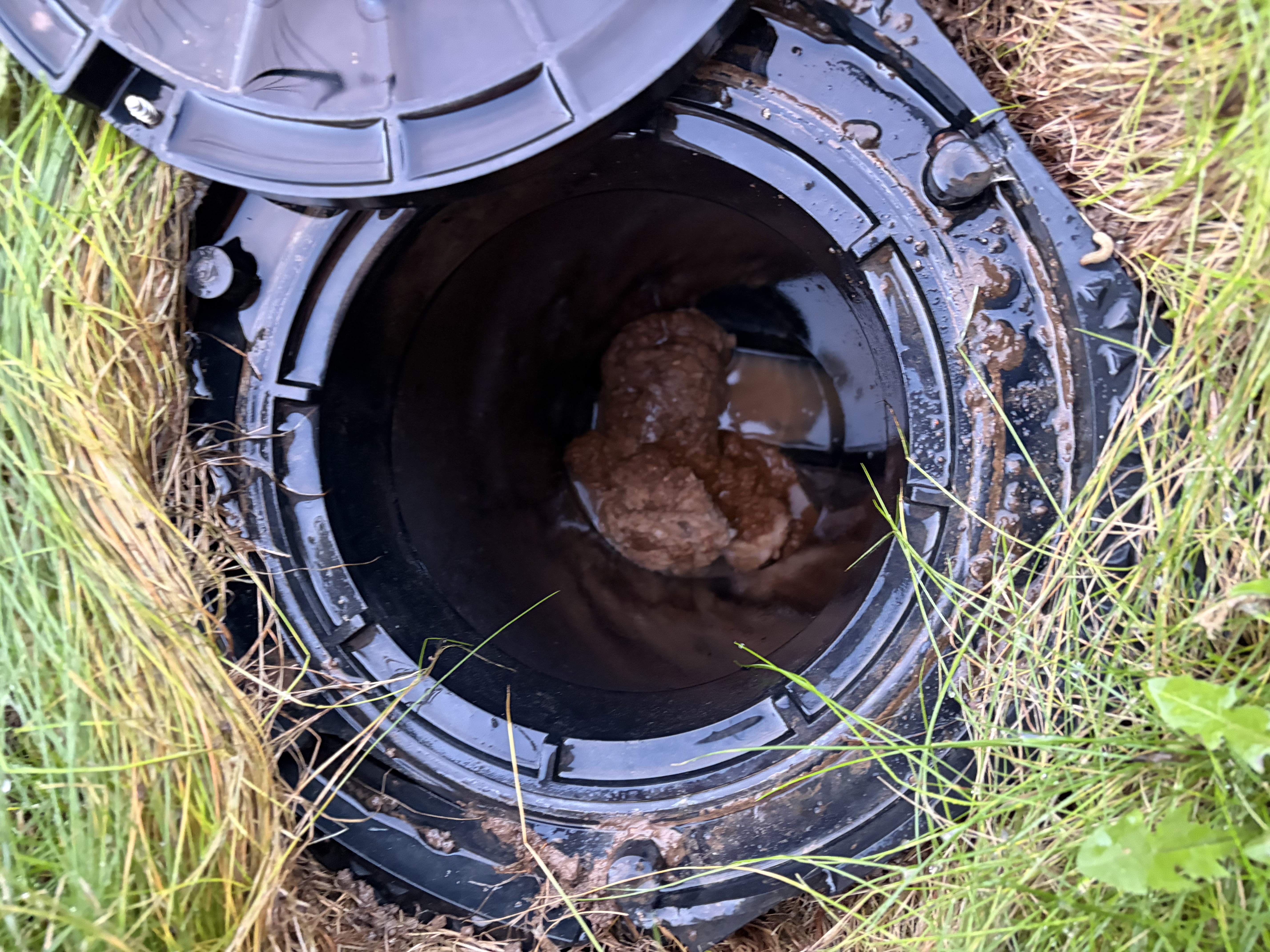 Blocked drain inspection